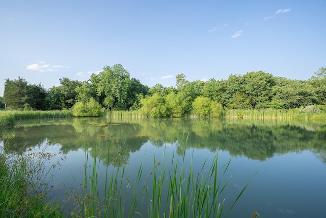 10060 E David Allen Rd, Columbia, MO 65201 - water view with a forest