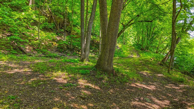 18133 Cincinnati Rd, Center, MO 63436 - photo 50