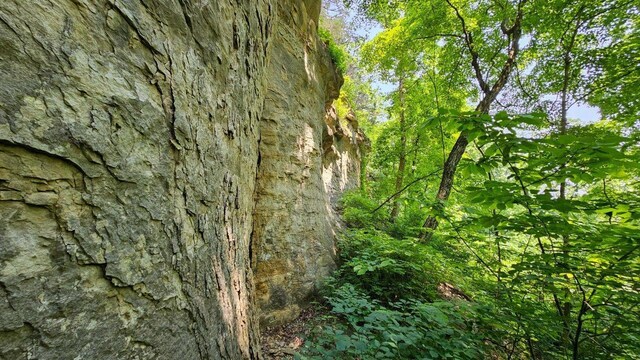 18133 Cincinnati Rd, Center, MO 63436 - photo 51