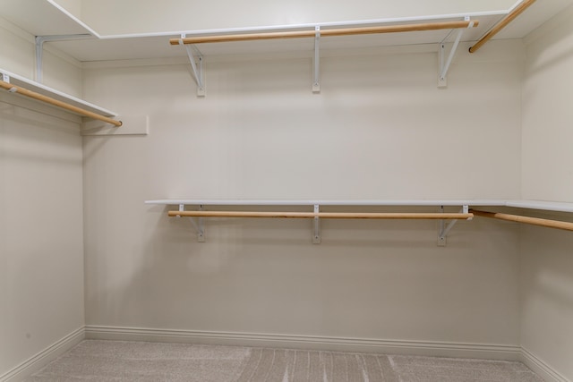 2016 Devonshire Dr, Columbia, MO 65203 - walk in closet featuring carpet flooring