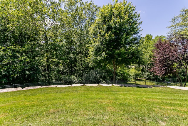 2016 Devonshire Dr, Columbia, MO 65203 - view of yard