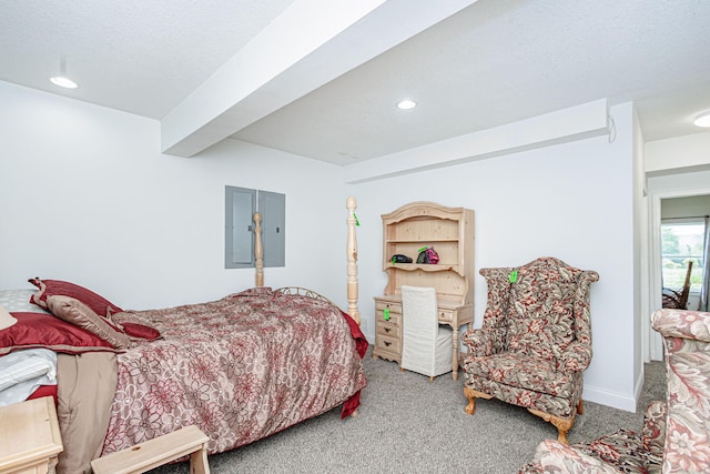 8801 S Ginn Ln, Columbia, MO 65201 - carpeted bedroom with electric panel, recessed lighting, and a textured ceiling