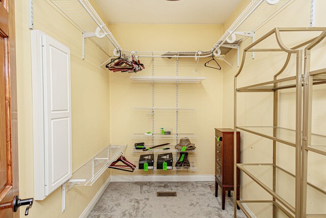 8801 S Ginn Ln, Columbia, MO 65201 - view of spacious closet