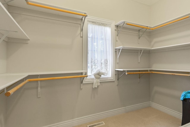 203 Foxwood Ct, Columbia, MO 65203 - spacious closet featuring carpet