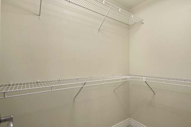 203 Foxwood Ct, Columbia, MO 65203 - view of spacious closet