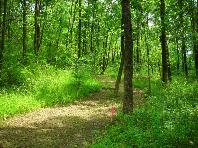 S Old Mill Creek Rd, Columbia, MO 65203 - photo 5