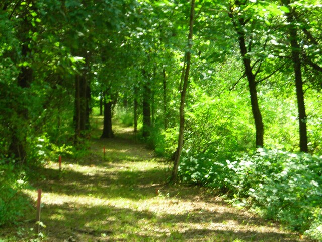 S Old Mill Creek Rd, Columbia, MO 65203 - photo 6