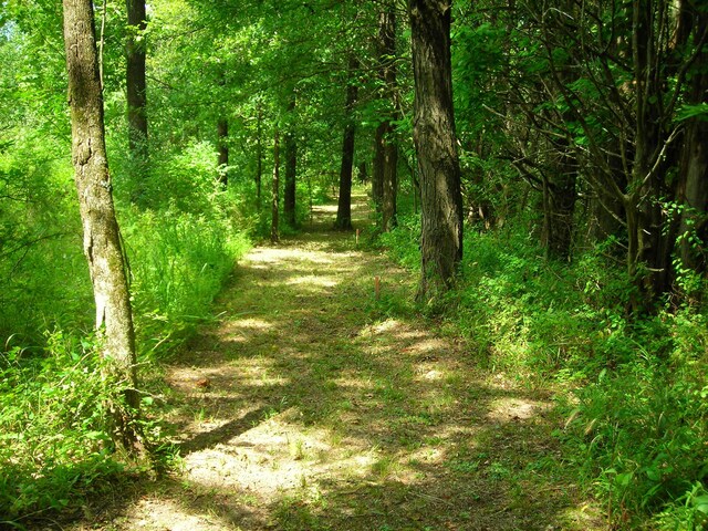 S Old Mill Creek Rd, Columbia, MO 65203 - photo 7