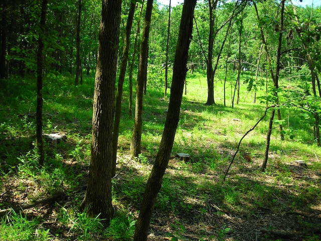 S Old Mill Creek Rd, Columbia, MO 65203 - photo 8