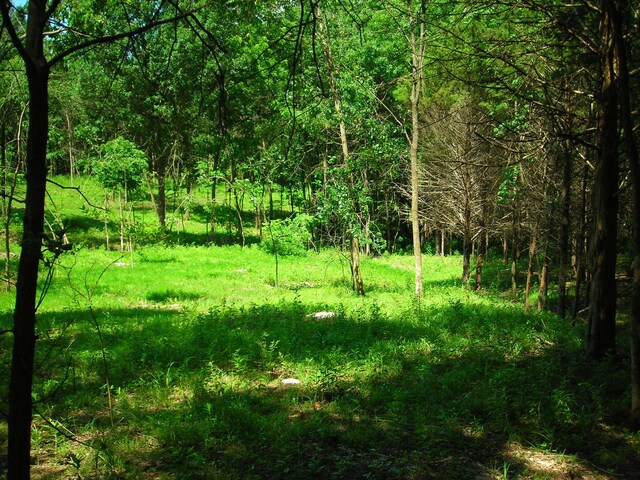 S Old Mill Creek Rd, Columbia, MO 65203 - photo 9