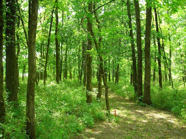 S Old Mill Creek Rd, Columbia, MO 65203 - photo 10