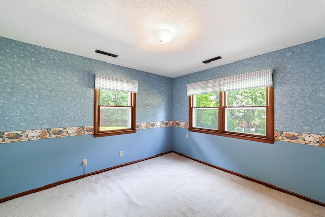 4705 Roemer Rd, Columbia, MO 65202 - empty room with plenty of natural light, a textured ceiling, carpet floors, and wallpapered walls