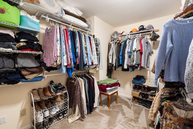 9050 Hartley Rd, Hallsville, MO 65255 - spacious closet with carpet