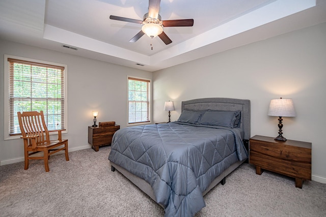 4504 Orrine St, Columbia, MO 65201 - bedroom featuring light colored carpet, a tray ceiling, and multiple windows