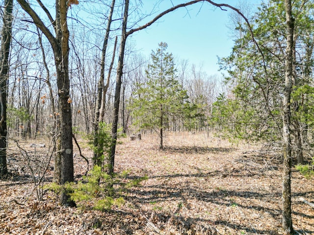2 State Route A, Higbee, MO 65257