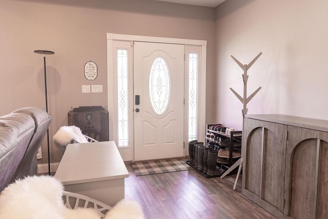 3045 State Rd, Aa, Holts Summit, MO 65043 - foyer entrance with dark wood-style flooring