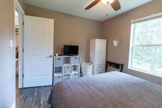 3045 State Rd, Aa, Holts Summit, MO 65043 - bedroom featuring multiple windows, dark wood-style floors, and a ceiling fan