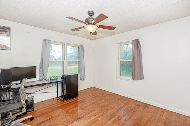 4741 E N Rte E, Columbia, MO 65202 - office space featuring light wood-type flooring, ceiling fan, crown molding, plenty of natural light, and a textured ceiling
