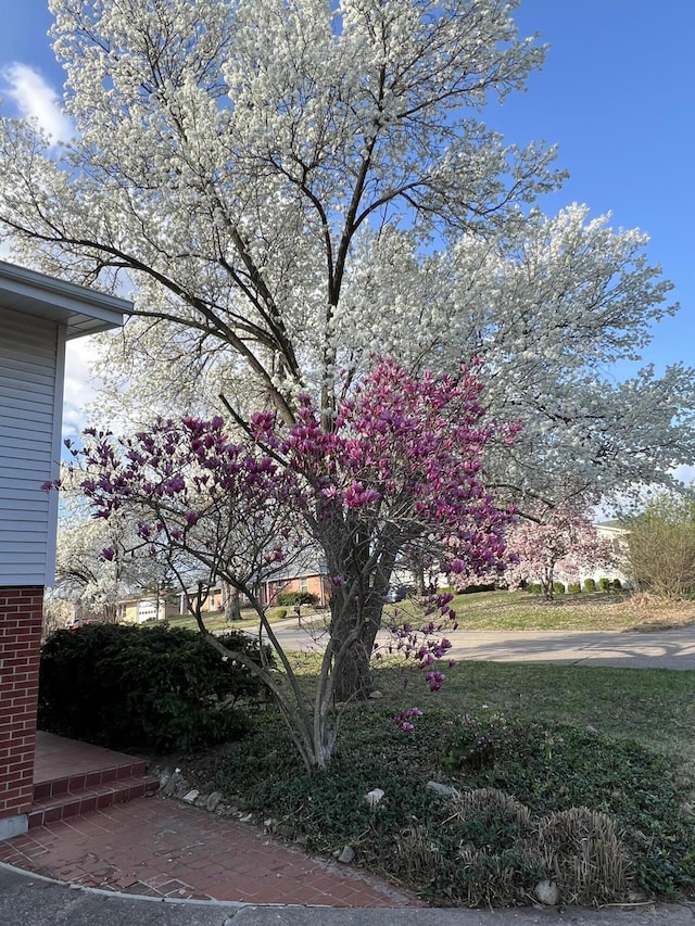 1000 Yale Dr, Columbia, MO 65203 - view of yard