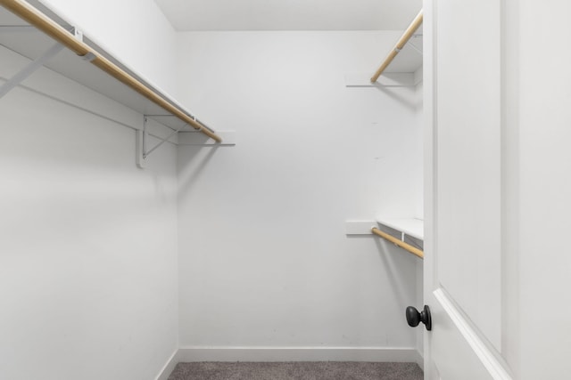3306 Tuscany, Columbia, MO 65202 - walk in closet with carpet