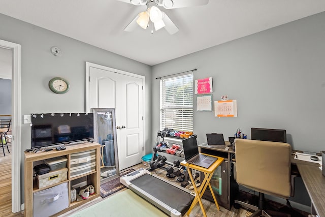 6610 Chrissula Ln, Columbia, MO 65203 - home office with a ceiling fan and wood finished floors