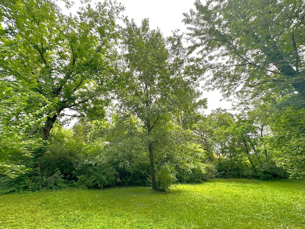 1504 Monroe St, Fulton, MO 65251 - view of yard featuring a forest view