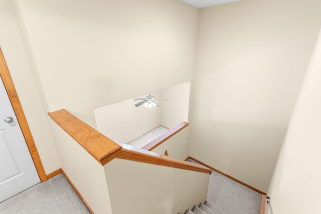 2208-2210 Shamrock Dr, Columbia, MO 65202 - staircase featuring carpet floors and ceiling fan