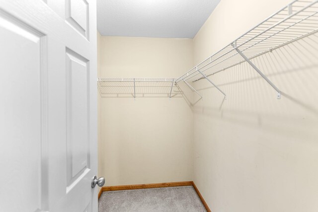 2208-2210 Shamrock Dr, Columbia, MO 65202 - spacious closet with light colored carpet