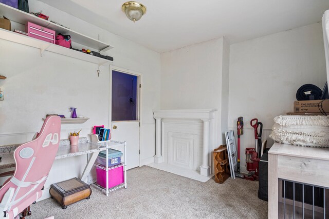 704 N Jefferson St, Mexico, MO 65265 - playroom featuring carpet floors