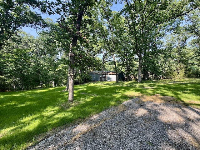 9051 E Mount Zion Church Rd, Hallsville, MO 65255 - photo 33