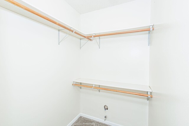 3804 Larkspur Ct, Columbia, MO 65201 - photo 24