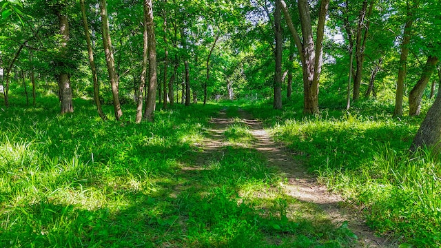 5200 N Locust Grove Church Rd, Columbia, MO 65202 - view of undeveloped land