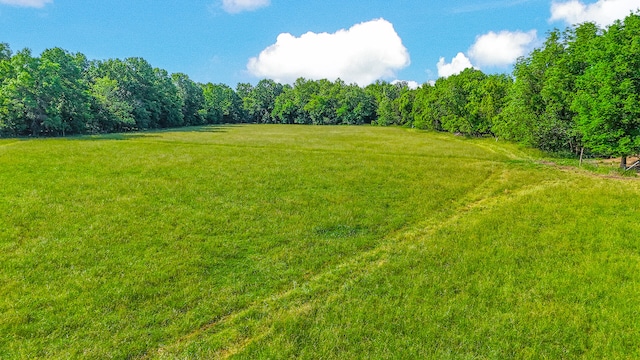 5200 N Locust Grove Church Rd, Columbia, MO 65202 - view of grassy yard with a wooded view