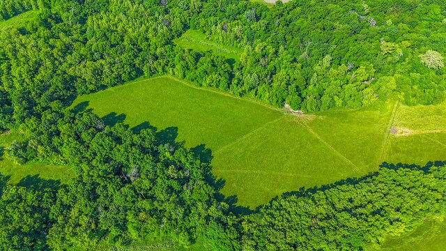 5200 N Locust Grove Church Rd, Columbia, MO 65202 - drone / aerial view of a heavily wooded area