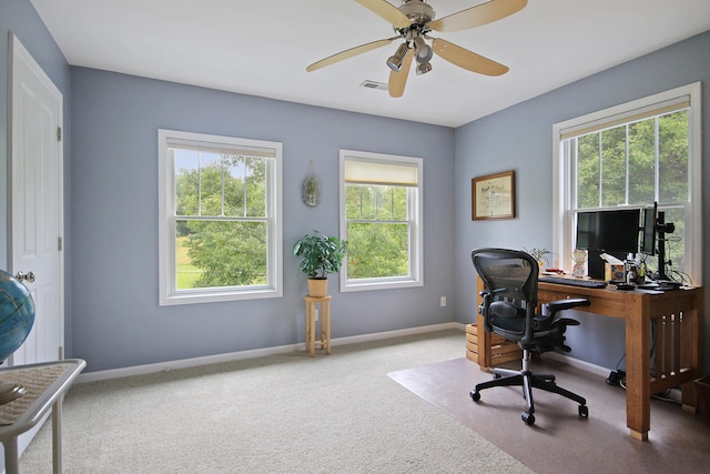 5200 N Locust Grove Church Rd, Columbia, MO 65202 - office featuring healthy amount of natural light, carpet, and ceiling fan