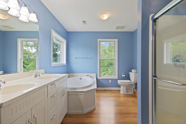 5200 N Locust Grove Church Rd, Columbia, MO 65202 - full bath featuring wood finished floors, healthy amount of natural light, a garden tub, and a stall shower