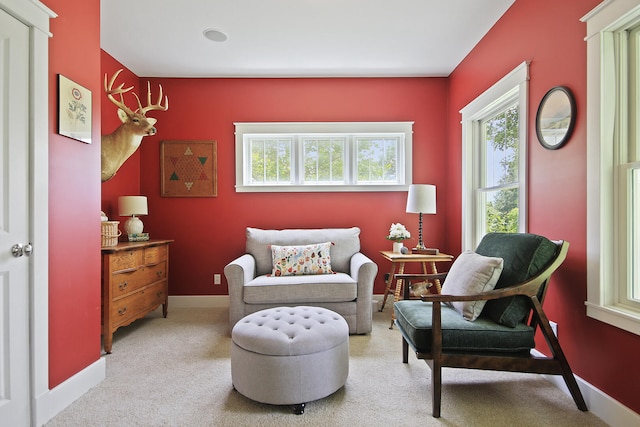 5200 N Locust Grove Church Rd, Columbia, MO 65202 - living area featuring carpet and baseboards