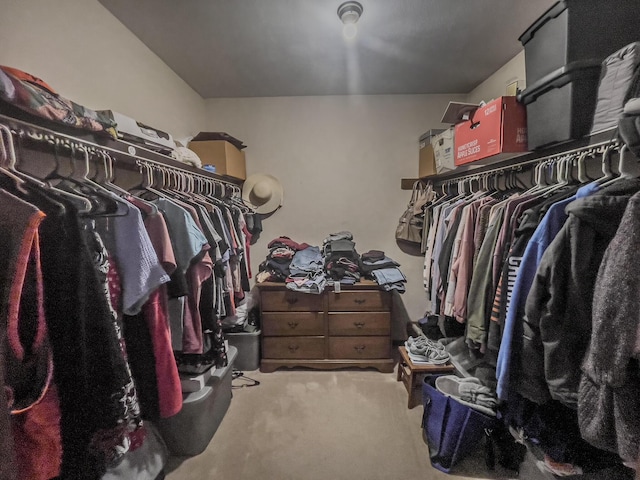 3674 State Road Aa, Holts Summit, MO 65043 - walk in closet featuring carpet