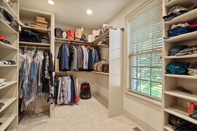 5809 Morning Star Ct, Columbia, MO 65203 - walk in closet featuring carpet
