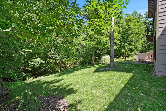 5809 Morning Star Ct, Columbia, MO 65203 - view of green lawn