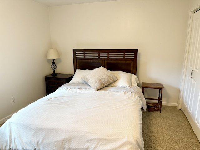 3900 E Christian School Rd, Hartsburg, MO 65039 - carpeted bedroom with baseboards