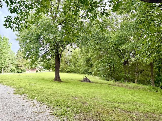 3900 E Christian School Rd, Hartsburg, MO 65039 - view of grassy yard