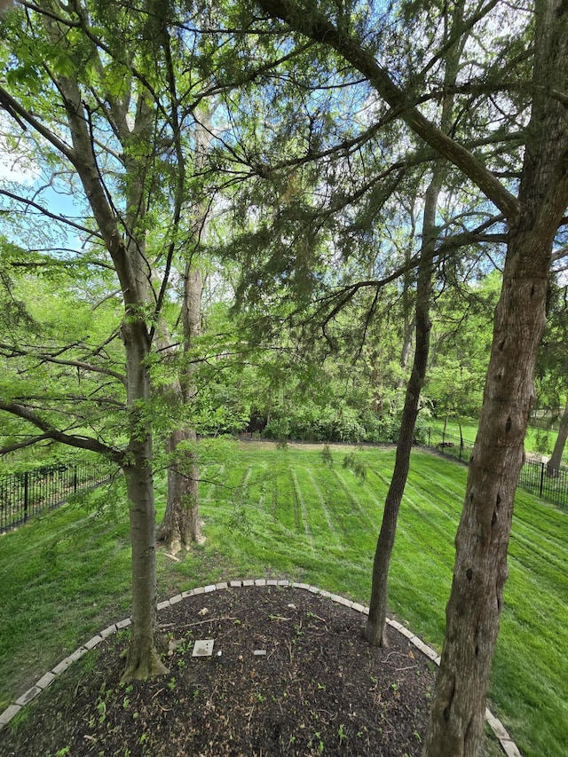 3109 Appalachian Dr, Columbia, MO 65203 - view of yard
