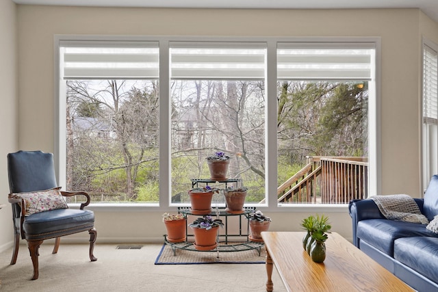 3109 Appalachian Dr, Columbia, MO 65203 - carpeted living area featuring plenty of natural light