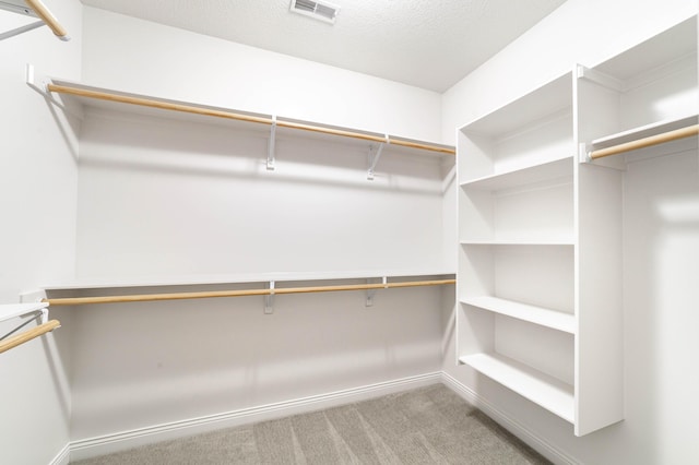 1915 Muirfield Dr, Columbia, MO 65203 - walk in closet with carpet