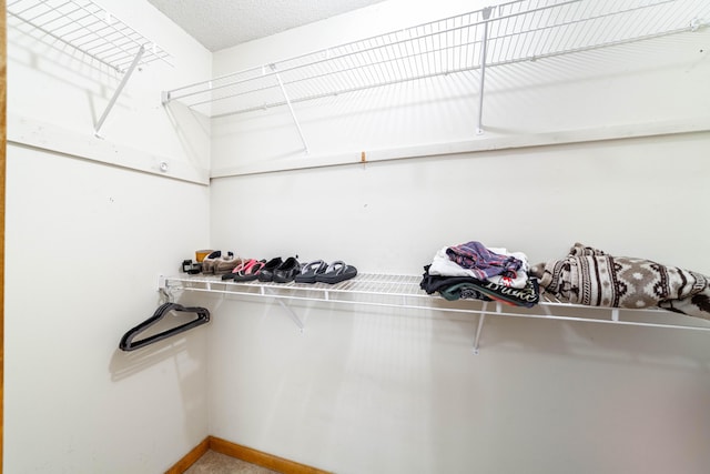 6002 E Molly Ln, Columbia, MO 65202 - view of spacious closet