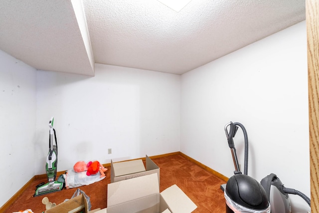 6002 E Molly Ln, Columbia, MO 65202 - workout area with carpet flooring and a textured ceiling