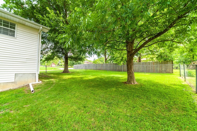 6002 E Molly Ln, Columbia, MO 65202 - view of yard