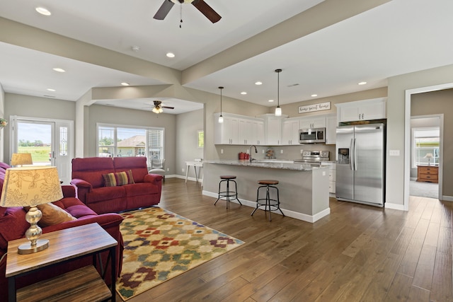 15409 Allegiance Ave, Ashland, MO 65010 - living area with a ceiling fan, healthy amount of natural light, dark wood-style floors, and recessed lighting