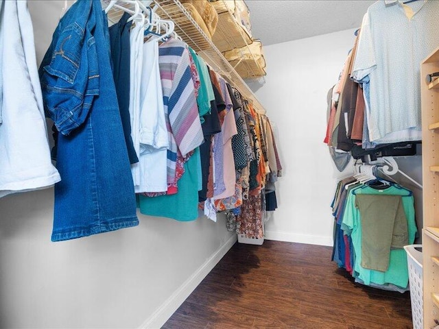205 Johnson Ct, Ashland, MO 65010 - walk in closet with wood finished floors